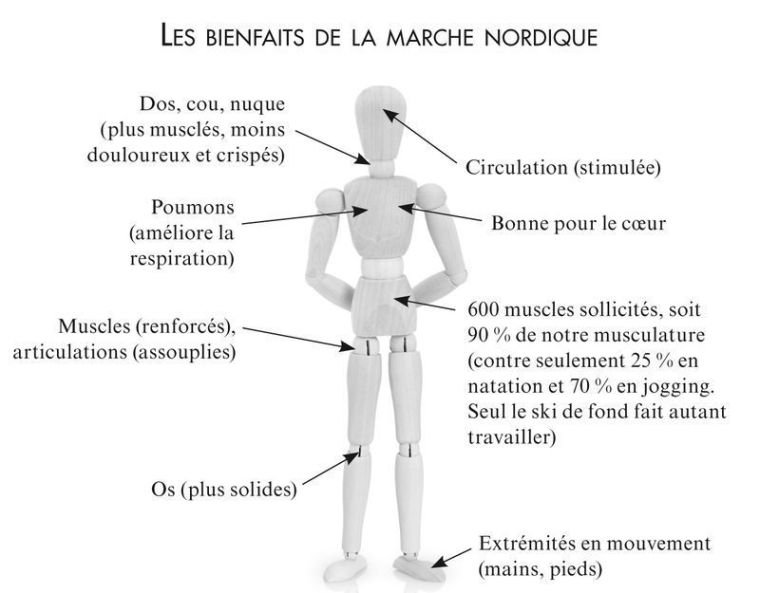 72073047-jpg-marche-nordique